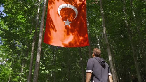 Man Looks Up at National Flag in Forest