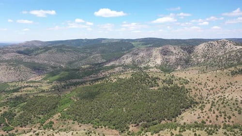Aerial View Of Trees And Hills