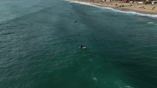 Aerial Cinematic Shot of a Fit Male Surfer Paddling Out Toward the Golden Sunset