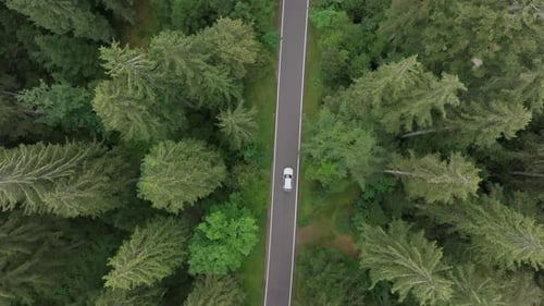 Aerial Footage of Road Cutting Through Forest