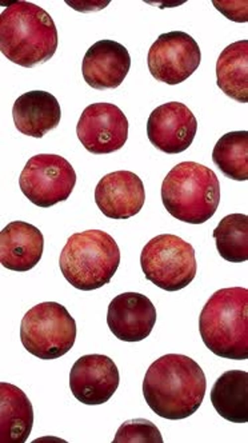 Seamless Loop of Red Fruits Ascending on White Background