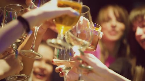 Young Adults Make a Toast at Birthday Party