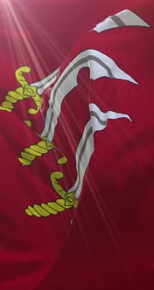 Vertical Red Flag with Gold Swords Waving Loop