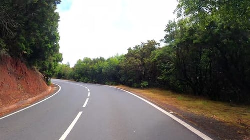 Driving through beautiful fall foliage on straight long asphalt road. Ground car pov. Travel journey