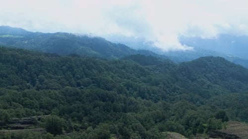 Aerial View on Forest Nature and Green Wood Trees in Fog Landscape of Mountains
