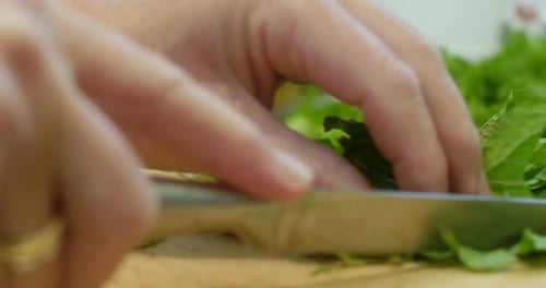 Woman Chops Fresh Green Herbs on Cutting Board