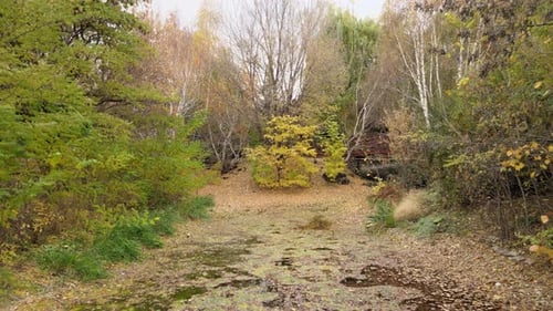 belleza, colorido, lago, otoño