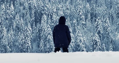 Wanderer, der im Tiefschnee draußen in der Waldlandschaft spaziert