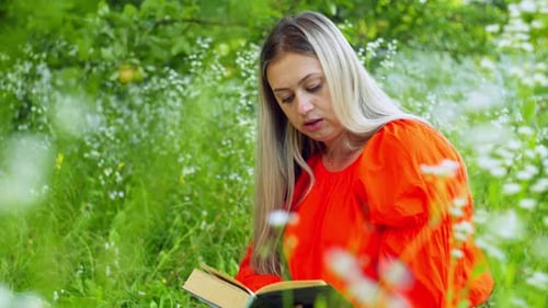 Dreamy Beautiful Woman Reading a Book Sitting in the Grass in the Field