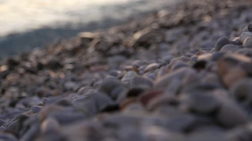 Wave Washing Small Rocks on the Beach Sunset Light Close Up Rack Focus