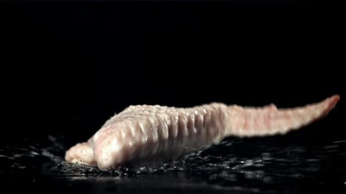 Chicken Wings Falling on a Black Background Filmed on a Highspeed Camera at 1000 Fps