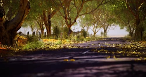 Quiet Road Surrounded By Lush Trees in a Tranquil Rural Setting