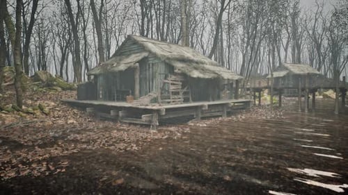 Old Cabin In The Wood Forest