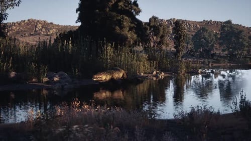 Crocodile reposant près d'une eau sereine dans un paysage naturel tranquille