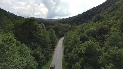 The Car Drives Along a Forest Road on the Sides Grow Trees Aerial View