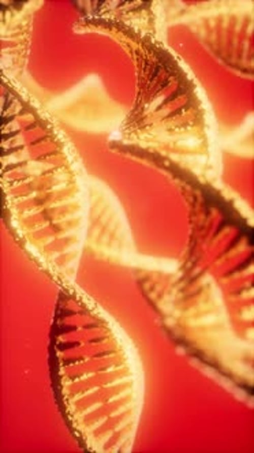 Detailed Visualization of DNA Structure with a Vibrant Red Background