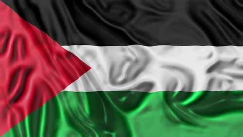 Waving Palestinian Flag Realistic Fabric Animation