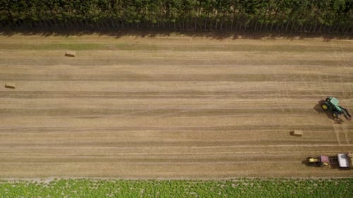 Aerial top down shot of tractor loading harvested hay bales on tractor trailer at farm field