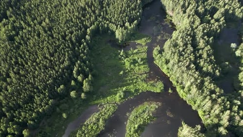 Aerial Footage of a Beautiful Landscape with a River Flowing Through Forests and Wetlands Morning