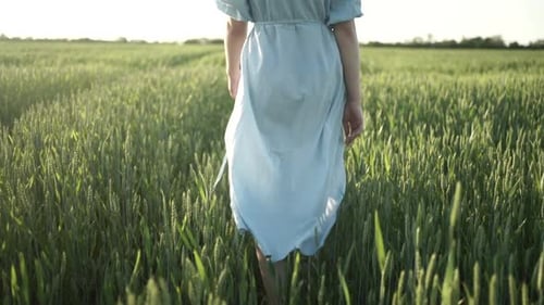 Young girl walks through green wheat field and touches the wheatear