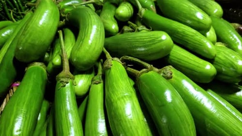 Fresh eggplant green organic at street food Fresh eggplant the market footage.