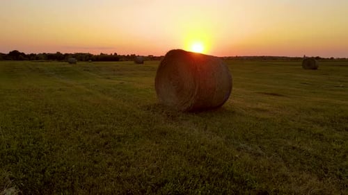 Meadow with Round Bales on Summer Evening at Sunset Field After Harvest with Hay Rolls