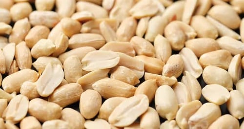 Close Up View of Shelled Peanuts