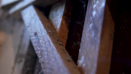 Close up of old wooden gate at a scary basement with cobwebs.
