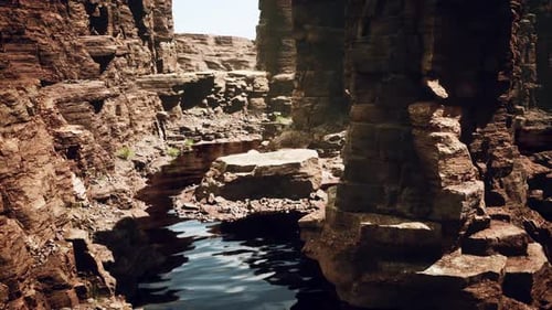Colorado River with Gorgeous Sandstone Walls and Canyons
