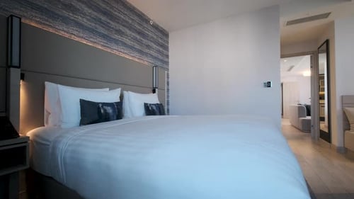 Elegant Hotel Room with Queen Bed