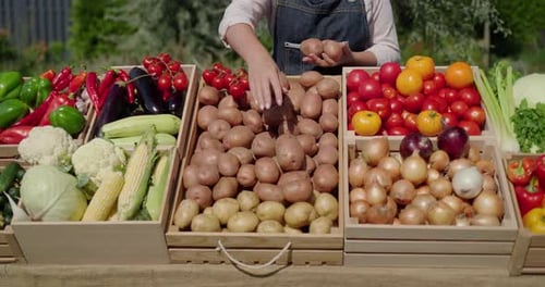 Farmer's Hands Lay Out Vegetables on the Counter Trade at the Farmers Market