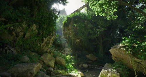 Lush Forest Landscape with Sunlight Filtering Through Dense Foliage