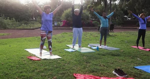 Multiracial senior people doing yoga exercises outdoor with city park in background