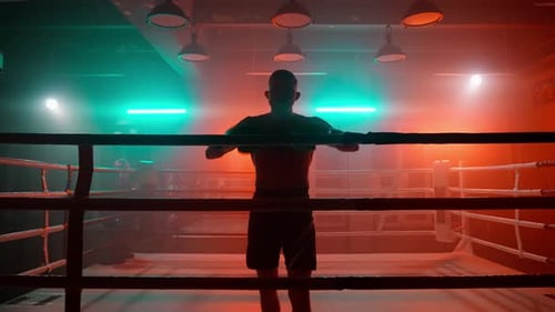 Boxer müde im Ring