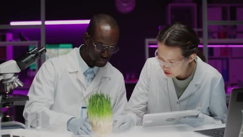 Scientists Analyzing Plant Specimen in Lab