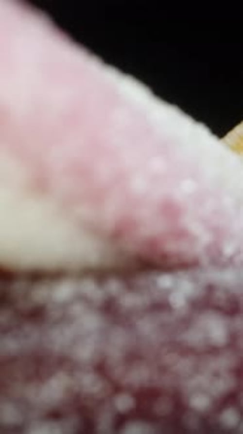 Vertical video. mix of gummy candies of different shapes and flavors fall onto the table, and sugar