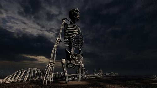 Decaying Human Skeletons