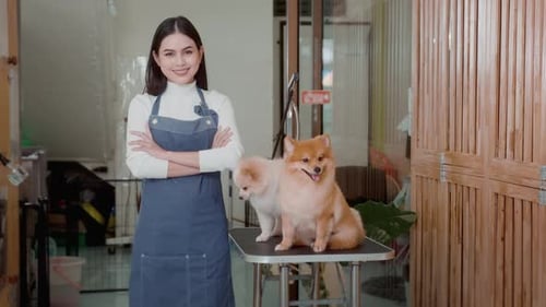 Woman Poses with Pomeranians at Pet Grooming Salon