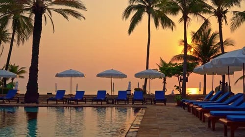 bed pool and umbrella around swimming pool with sunset or sunrise sky