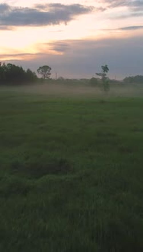 Low Angle Flying Over Green Grass in Morning Haze Vertical Video