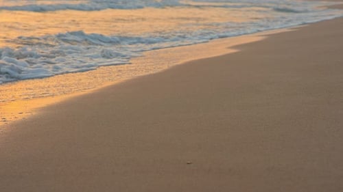 Beach 4k