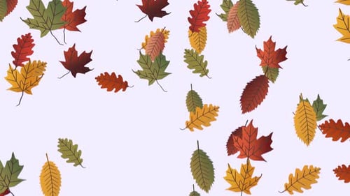 Animated Falling Autumn Leaves Background Loop