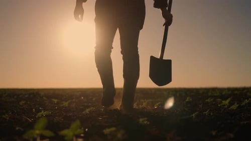 Legs of Agronomist in Agricultural Field Back View Closeup Man in Nature Agribusiness and Farming