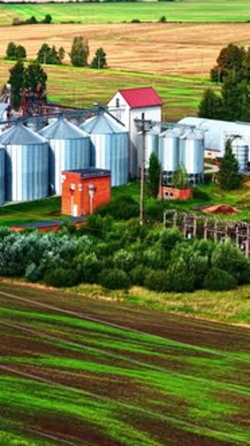Drohnen-Luftaufnahme großer Getreidesilos und moderner Getreideverarbeitungsanlage