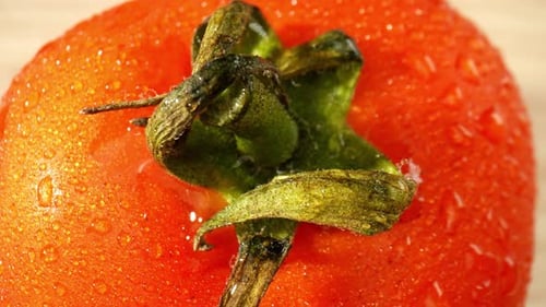 Fresh Tomato Close Up with Water Droplets
