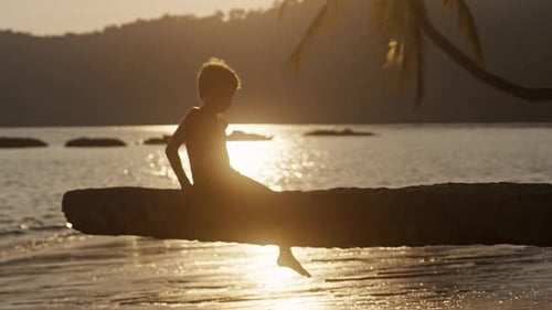 Boy Sitting On Tree At The Beach