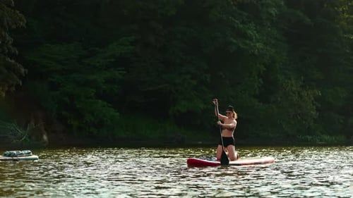 Paddle Boarding On River In Summertime FullLength Portrait Of Athletic Woman Floating On Board