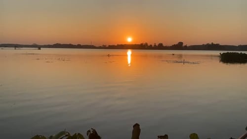 Scenic Lake at Sunset with Water Lilies