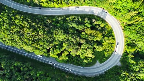 Curvy road in lush forest. A winding road cuts through a dense green forest in Europe