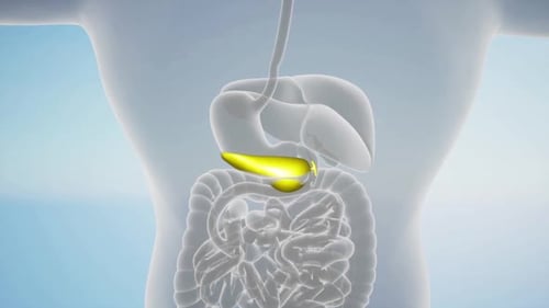 3D Medical Animation of Virus Infecting the Stomach